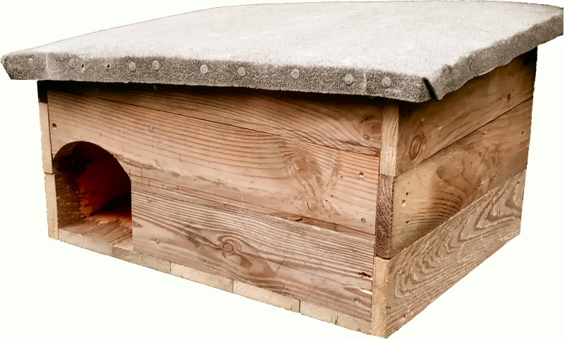 Hedgehog house